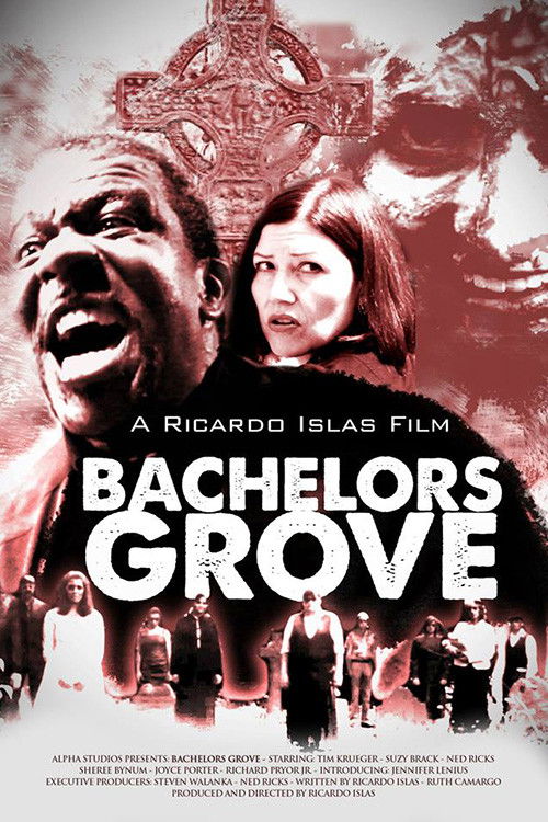 Bachelors Grove (2014) poster