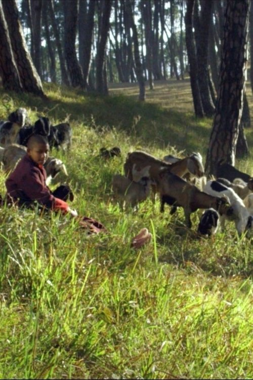 Black Goat (2019) poster