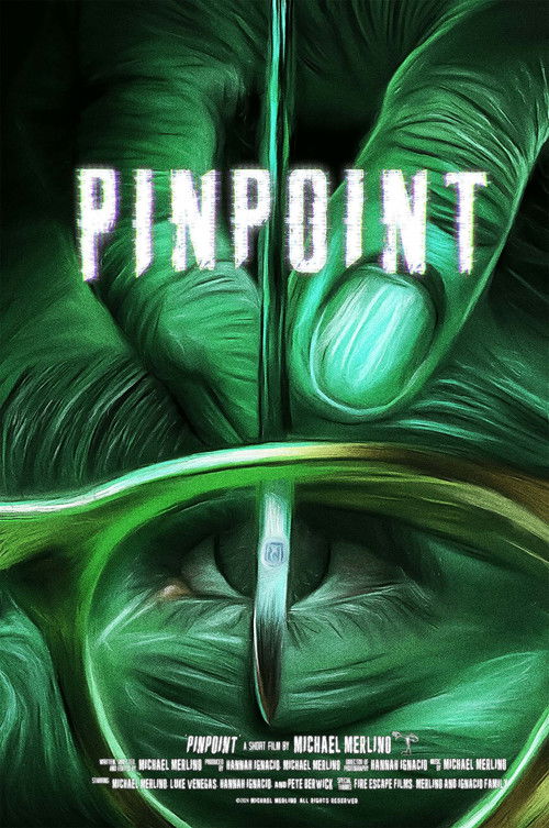 PINPOINT (2025) poster