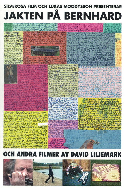 The Search for Bernhard (2010) poster