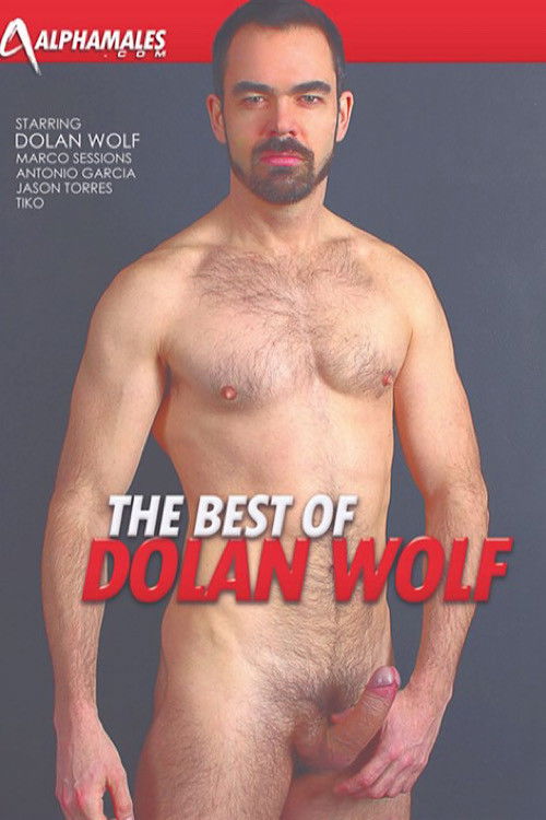 The Best of Dolan Wolf (2013) poster