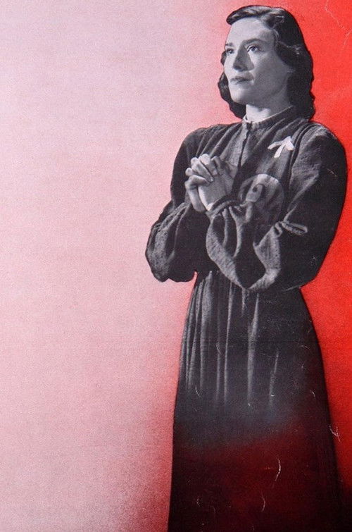 Hitler's Irish Movies (2007) poster