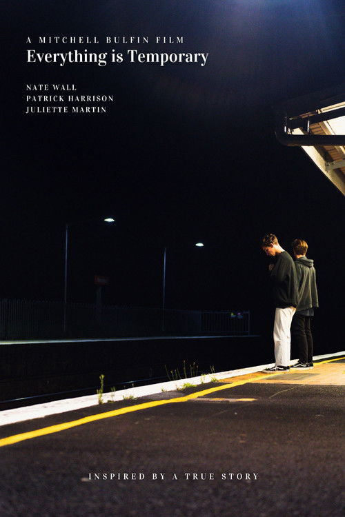 Everything is Temporary (2022) poster