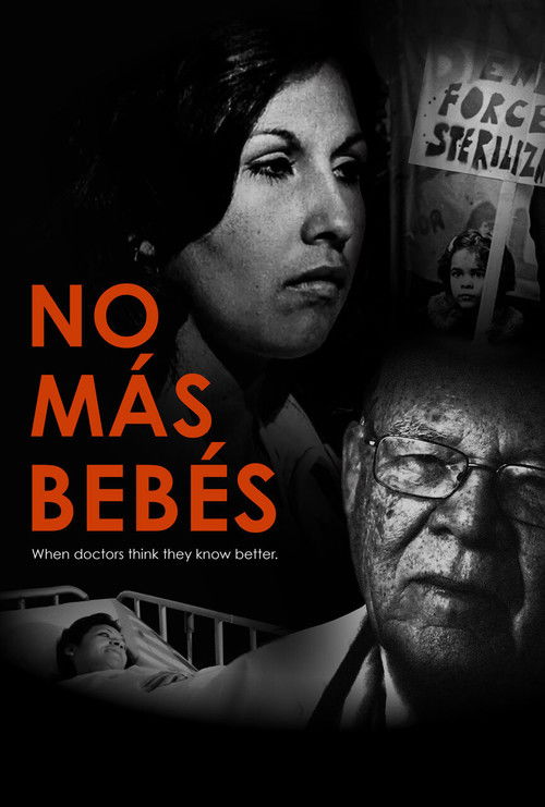 No More Babies (2015) poster