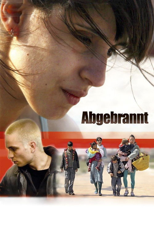 Abgebrannt (2011) poster