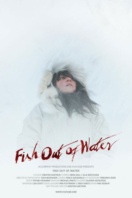 Fish Out of Water poster