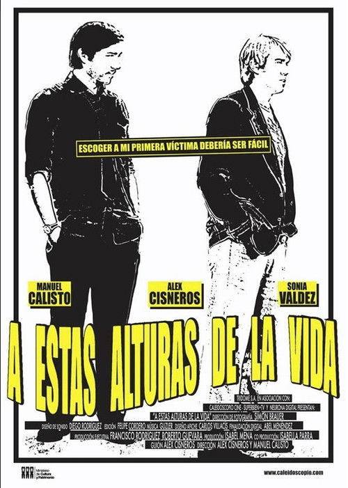 A estas alturas de la vida (2013) poster