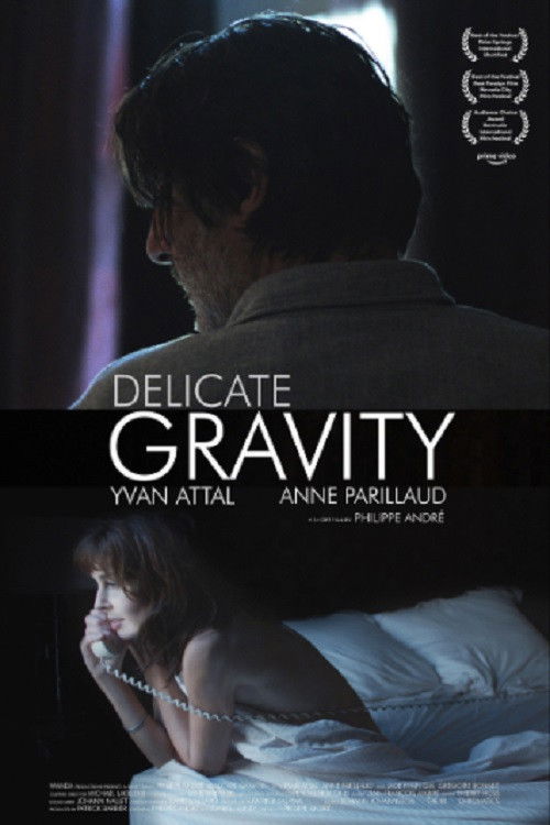 Délicate gravité (2013) poster