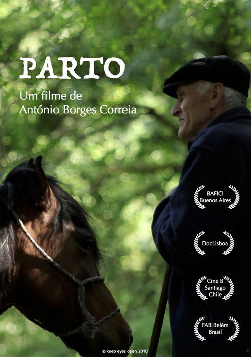 Parto (2010) poster