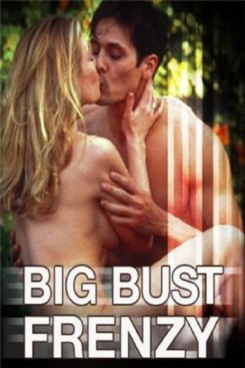 Big Bust Frenzy (2007) poster