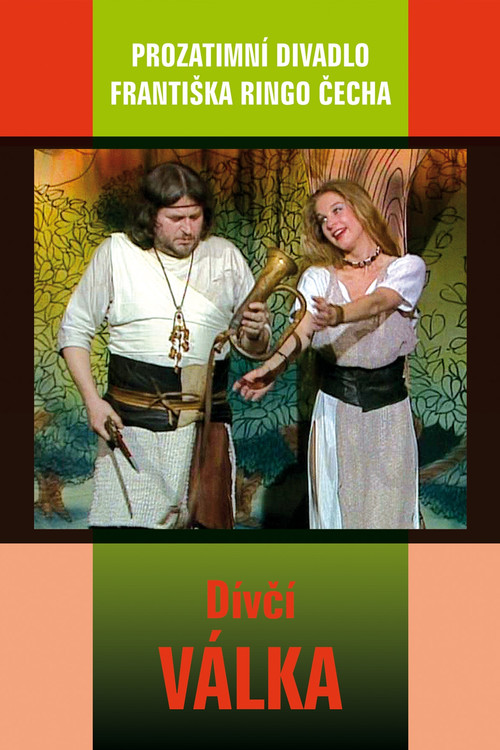 Dívčí válka (1991) poster