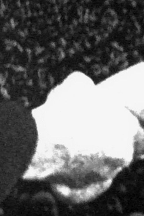 Mietersolidarität (1970) poster