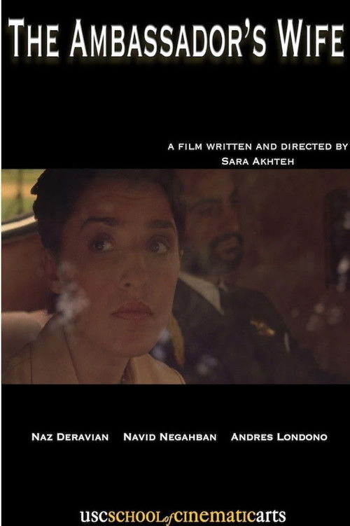 The Ambassador's Wife (2009) poster