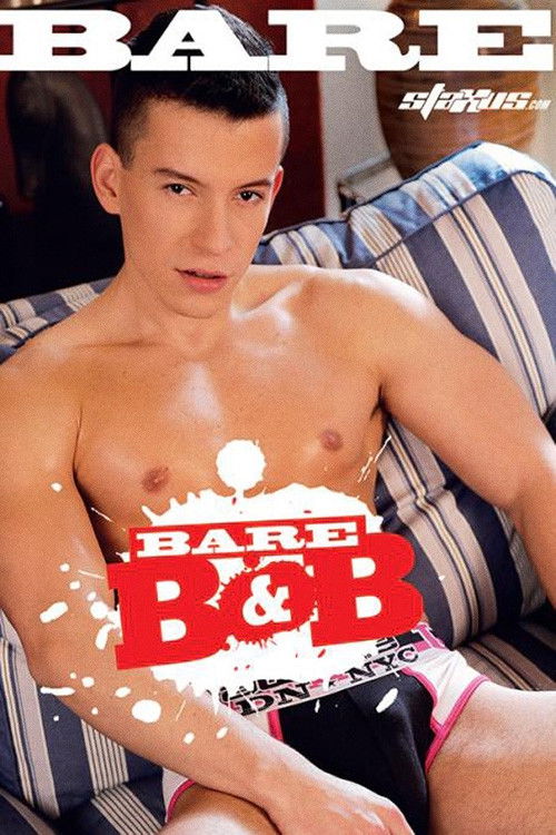 Bare B&B (2013) poster