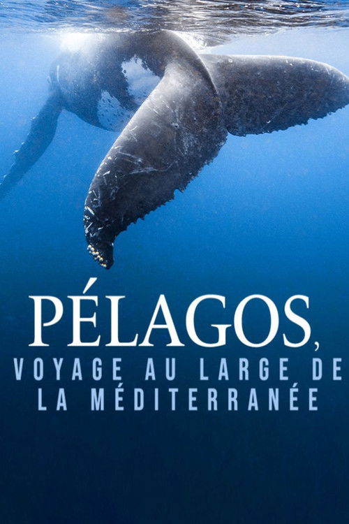 Pélagos, voyage au large de la Méditerranée (2023) poster