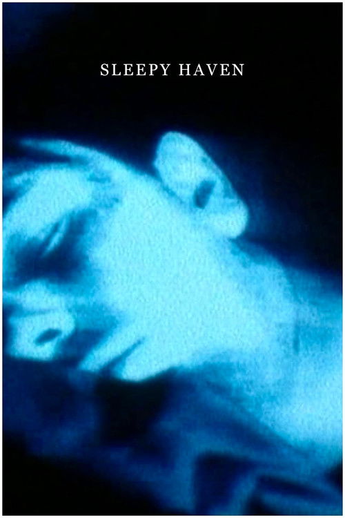 Sleepy Haven (1993) poster