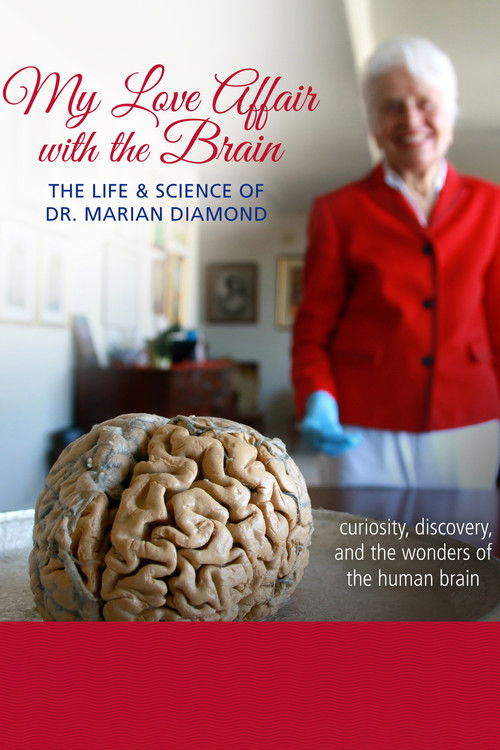 My Love Affair with the Brain (2016) poster