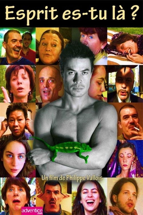 Spirit, Are You There? (2008) poster