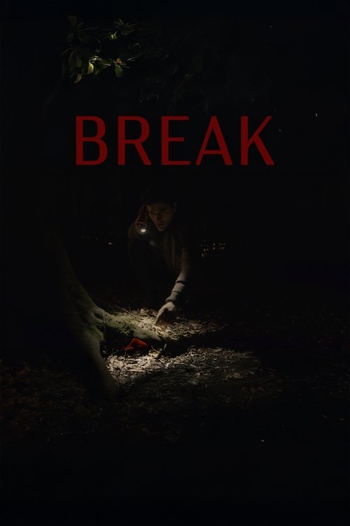 Break (2025) poster