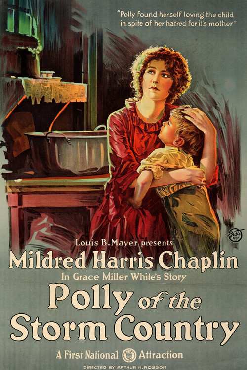 Polly of the Storm Country (1920) poster