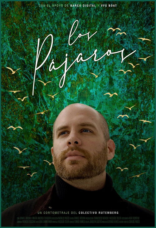 Los pájaros (2021) poster