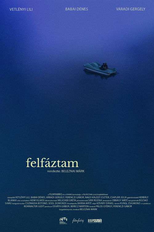 Summer Cold (2023) poster