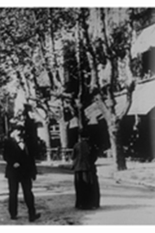 Biarritz : une rue (1900) poster