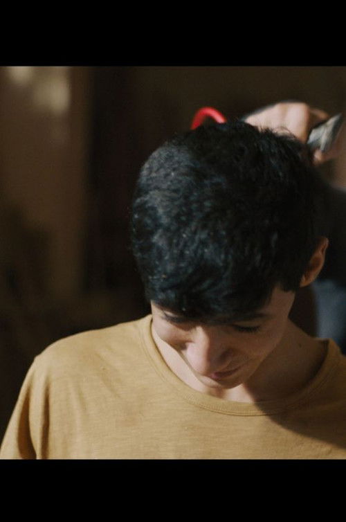 Cedar Wolf (2019) poster