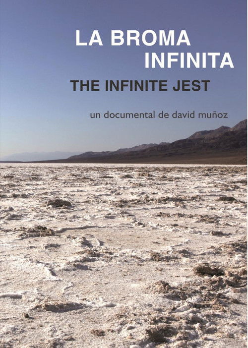 The Infinite Jest (2011) poster