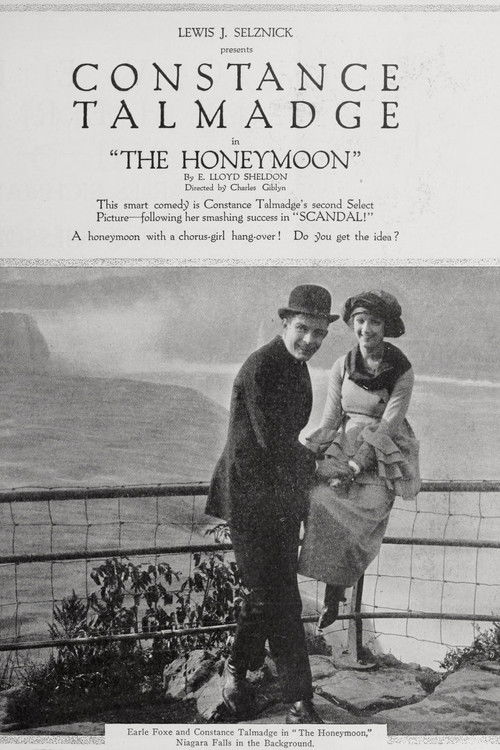The Honeymoon (1917) poster