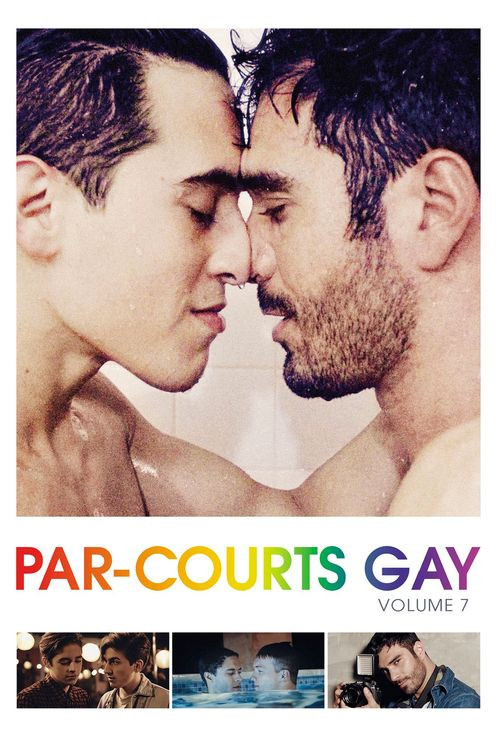 Par-courts Gay, Volume 7 (2019) poster