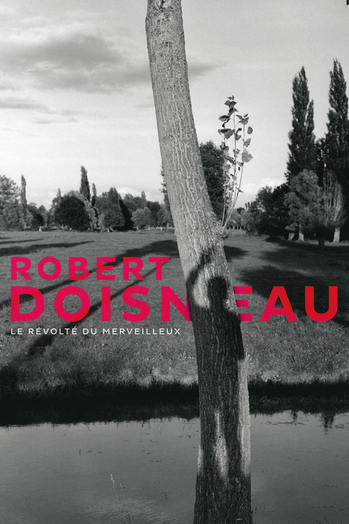 Robert Doisneau: Through the Lens (2017) poster