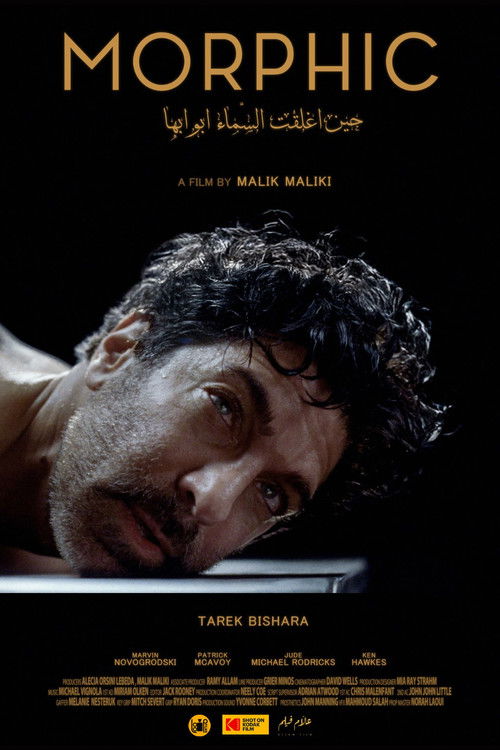 Morphic (2026) poster