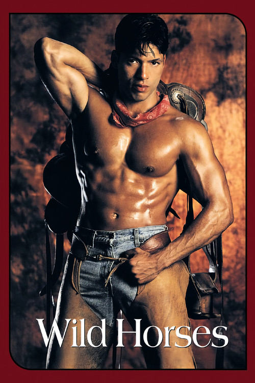 Wild Horses (1994) poster