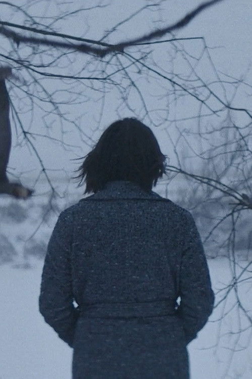 Even in the Silence (2019) poster