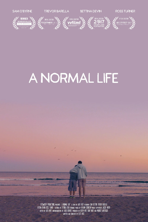A Normal Life (2016) poster
