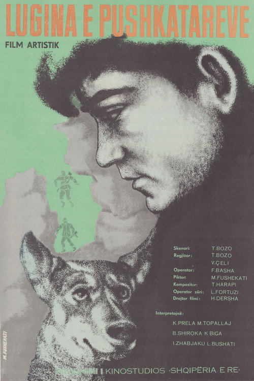 Lugina e pushkatarëve (1970) poster