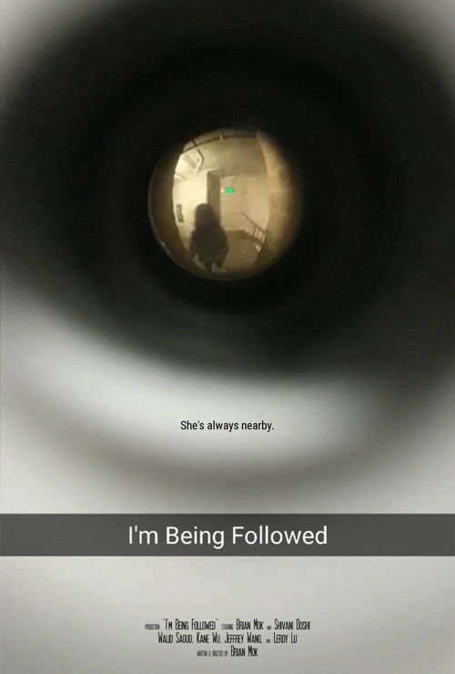 I'm Being Followed (2017) poster