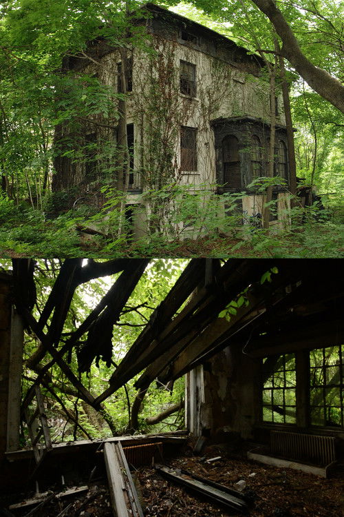 Urban Growth (2020) poster