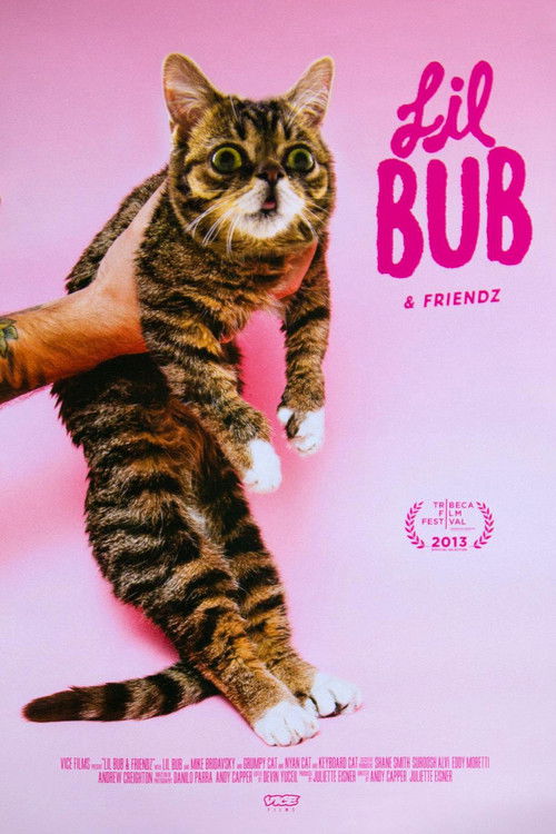 Lil Bub & Friendz (2013) poster