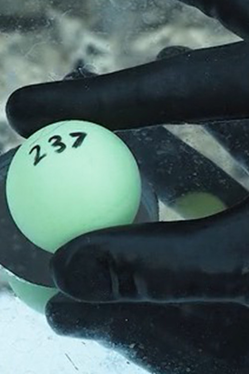 In Vitro (all the love mix) (2020) poster