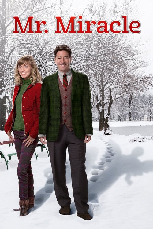 Mr. Miracle (2014) poster