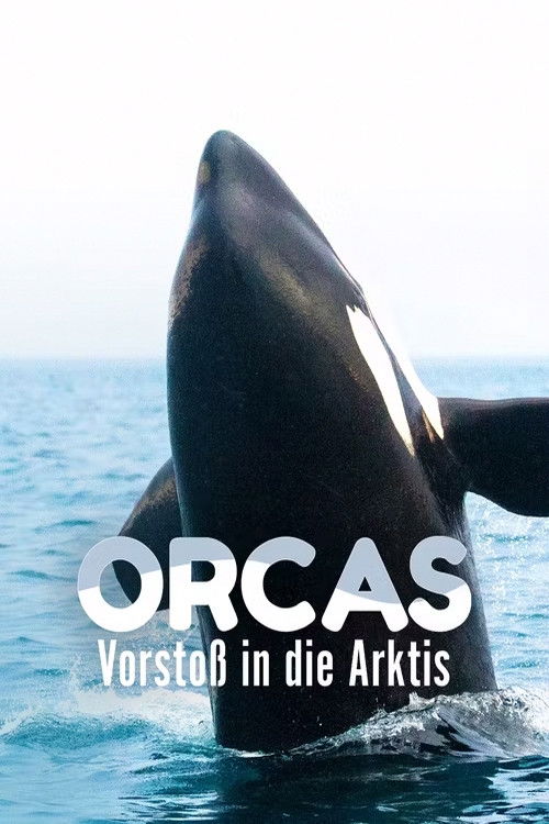 Orcas - Vorstoss in die Arktis (2014) poster