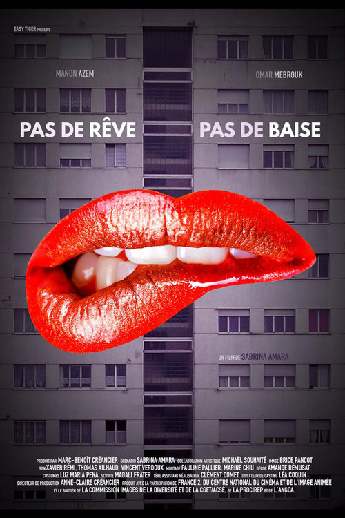 Pas de rêve pas de baise (2016) poster