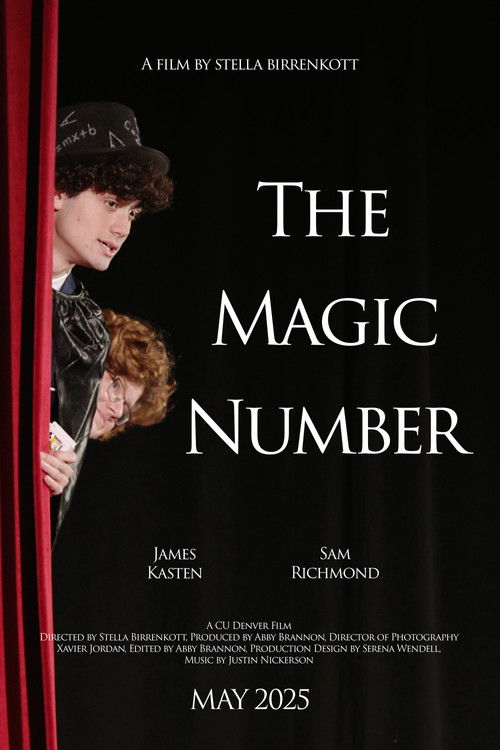 The Magic Number poster