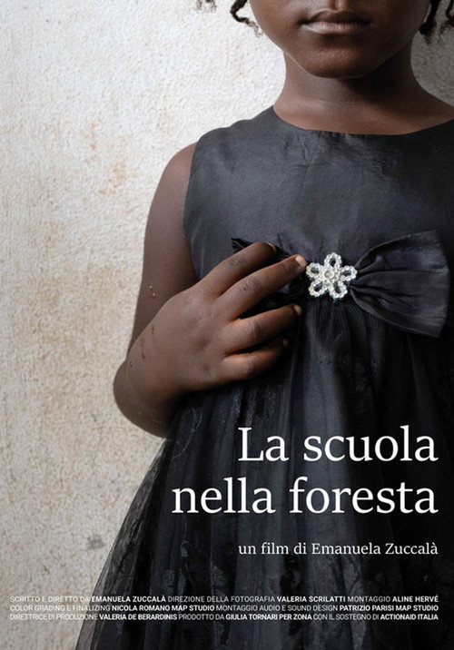 The Bush School (2020) poster