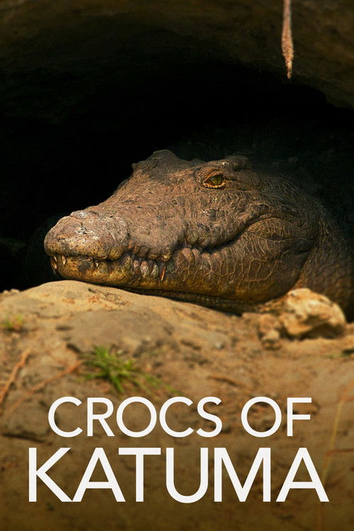 Crocs of Katuma (2010) poster