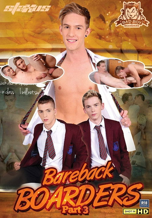 Bareback Boarders 3 (2013) poster