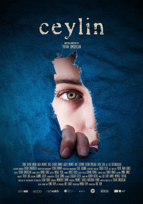 Ceylin (2023) poster