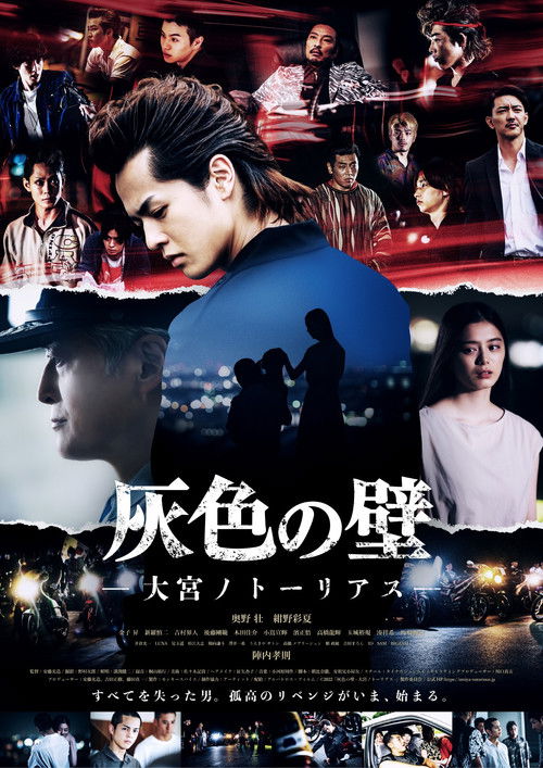 灰色の壁 ─大宮ノトーリアス─ (2022) poster